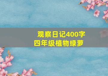 观察日记400字 四年级植物绿萝